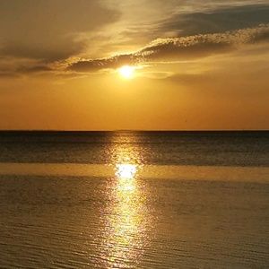 Meet your Posher, Ian